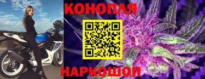 мяу мяу мука Краснознаменск