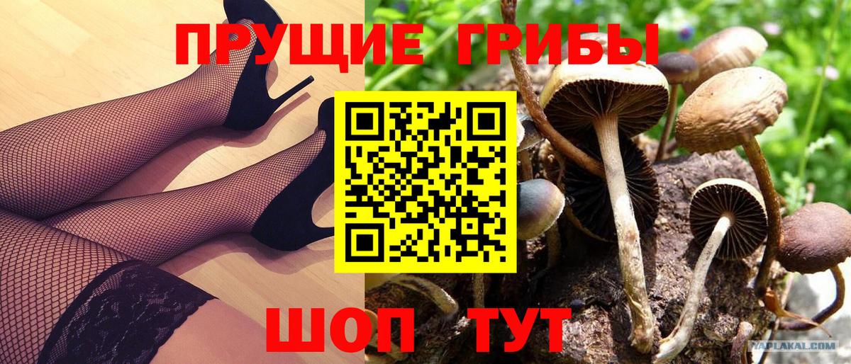 Псилоцибиновые грибы Cubensis  Псилоцибиновые грибы MAGIC MUSHROOMS  Вход с VPN  Усть-Илимск 